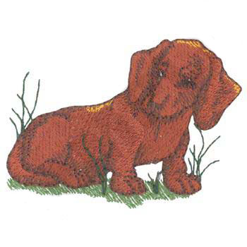 Dachshund Puppy -- DG0575 - Embroidery - Jan de Luz Linens
