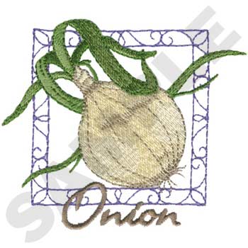 FD0237 Onion