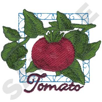 FD0242 Tomato