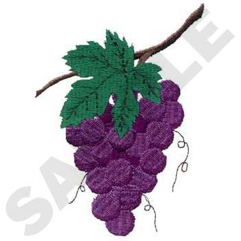 FL0047 Grapes 2