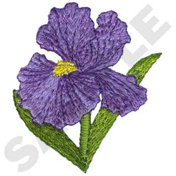 FL1621 Iris Flower