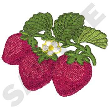 GD0176 Strawberries Bunch