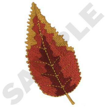 SC0115 Leaf 3