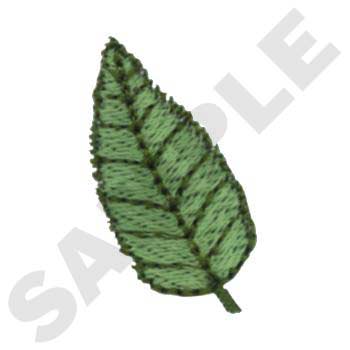 SC0120 Leaf 5