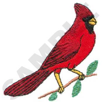 WL0266 Cardinal On A Branch