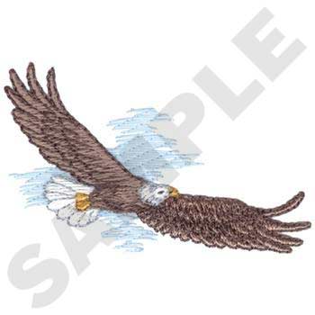 WL2240 Soaring Eagle