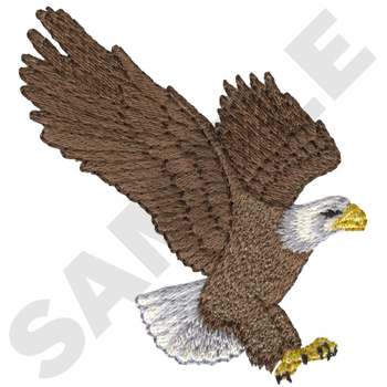 WL2870 Bald Eagle