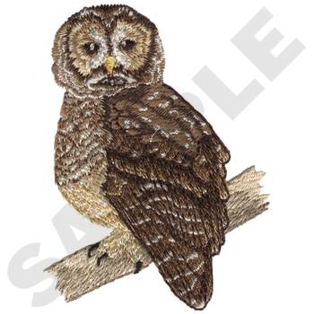 WL3034 Spotted Owl