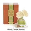 Large Diffuser Series - Image 11