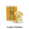 Large Diffuser Series - Image 5