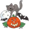 Scaredy Cat #HY0673