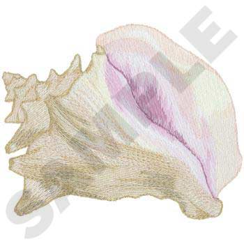 NT0717 Conch Shell