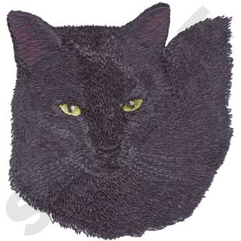 Black Cat DG0701