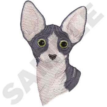 Sphynx Cat DG0764